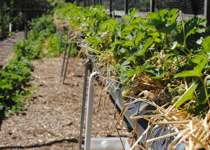 England Norwich Exterior Detail