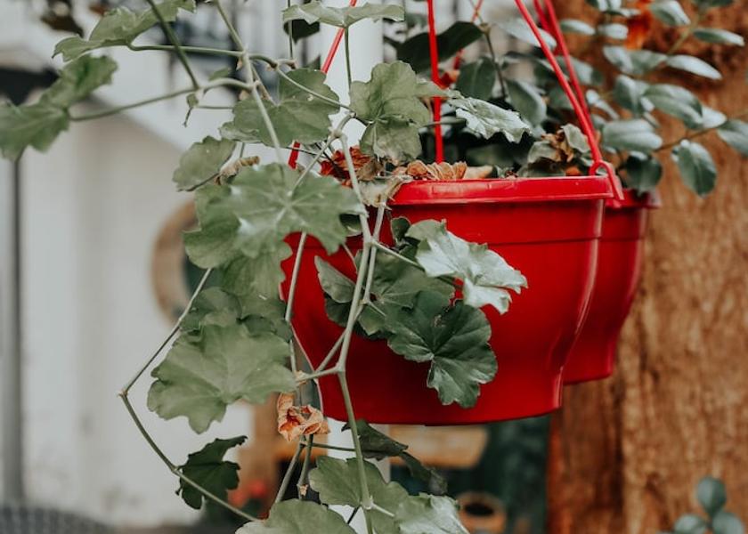 Grand Est Reims Interior Entrance