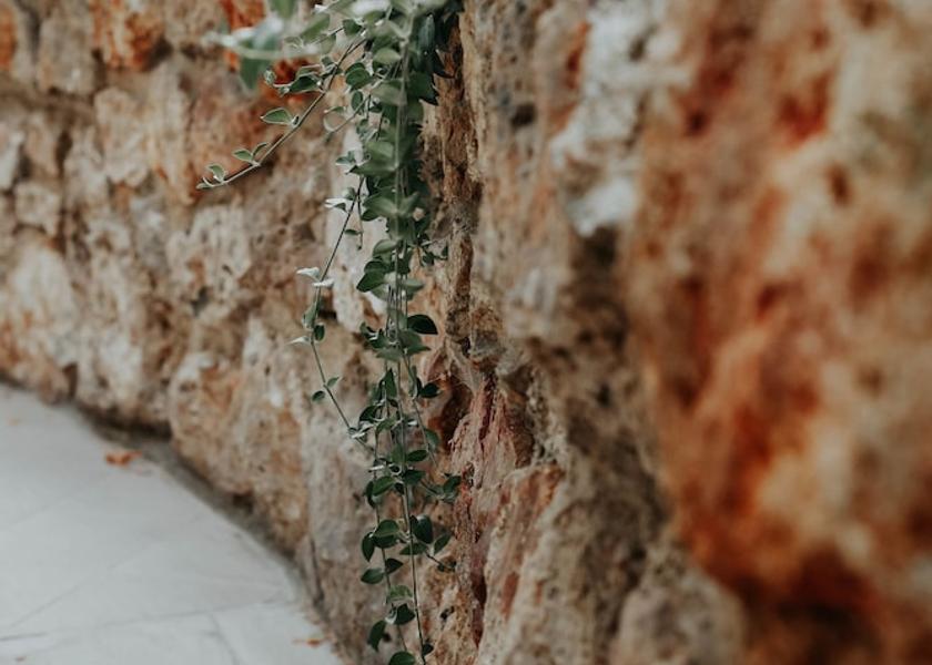 Grand Est Reims Exterior Detail