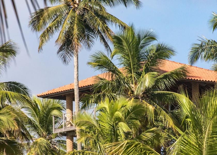 Alagoas Japaratinga Hiking