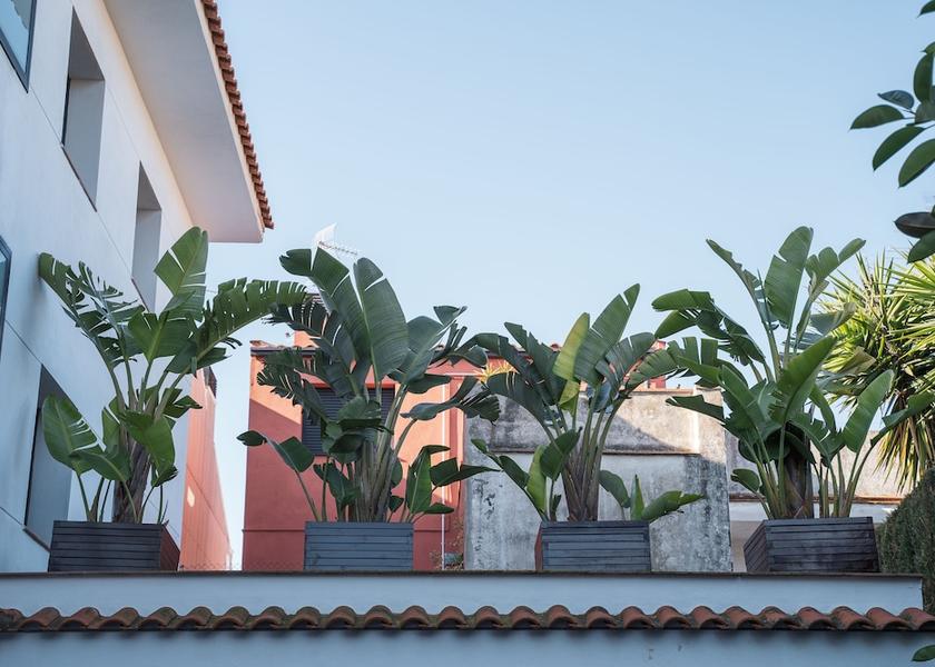 Catalonia Pineda de Mar Exterior Detail