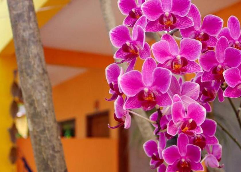 Pernambuco Ipojuca 
