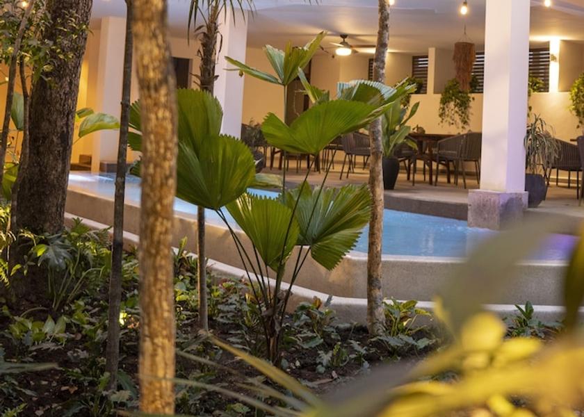 Quintana Roo Tulum Property Grounds
