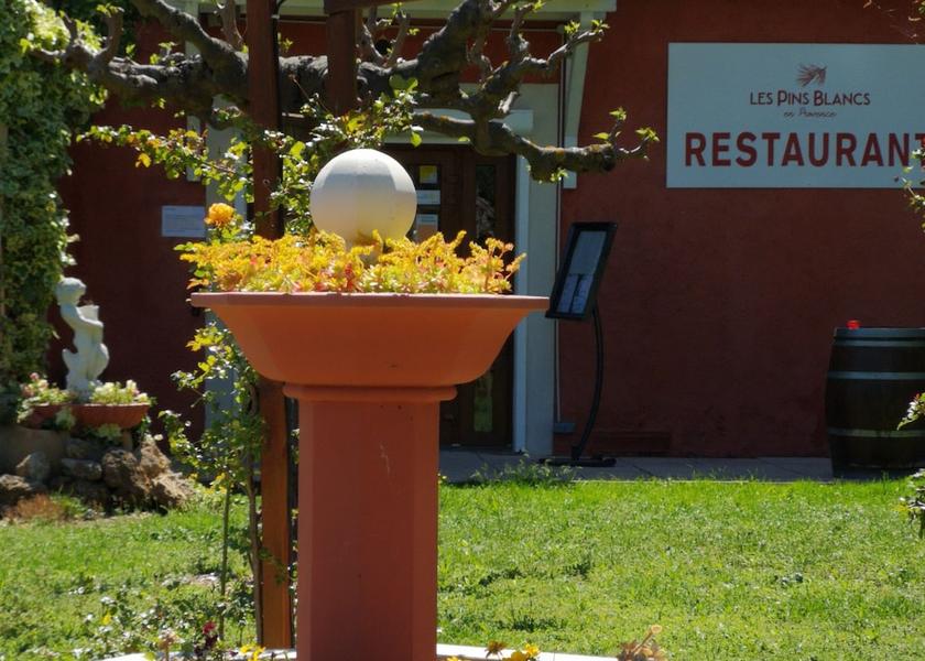 Provence - Alpes - Cote d'Azur Le Muy Courtyard