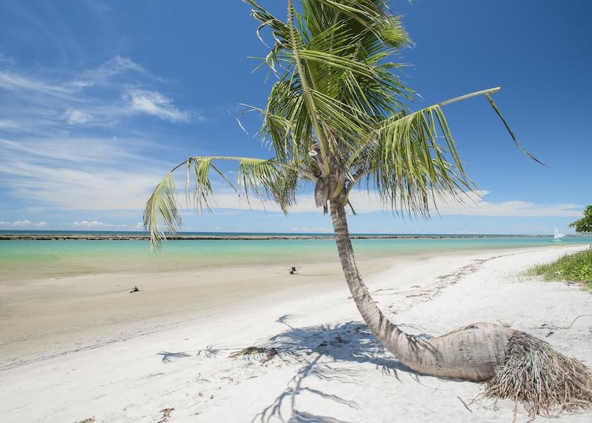 Pernambuco Ipojuca Beach