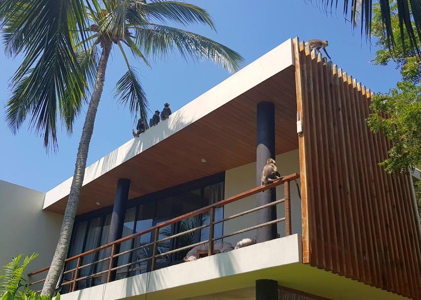 Southern Province Kalametiya Property grounds