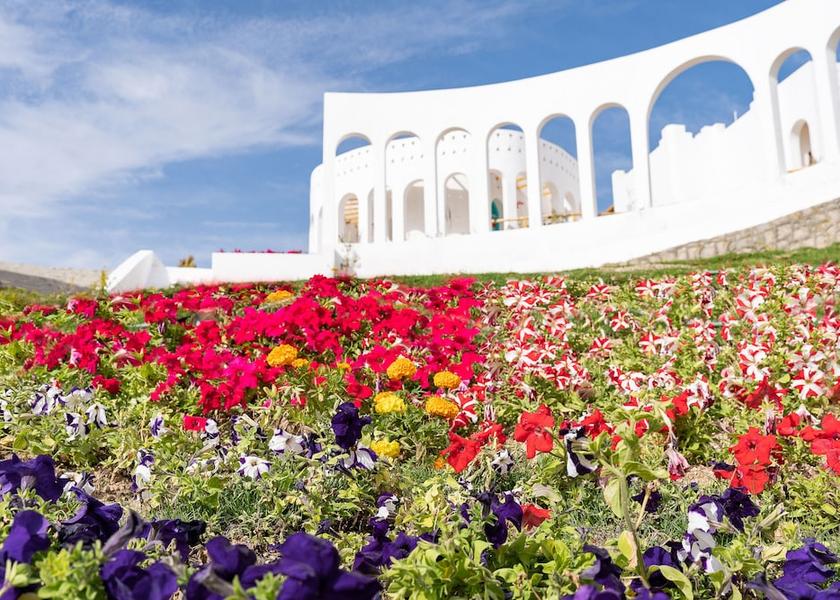 Aswan Governorate Aswan Exterior