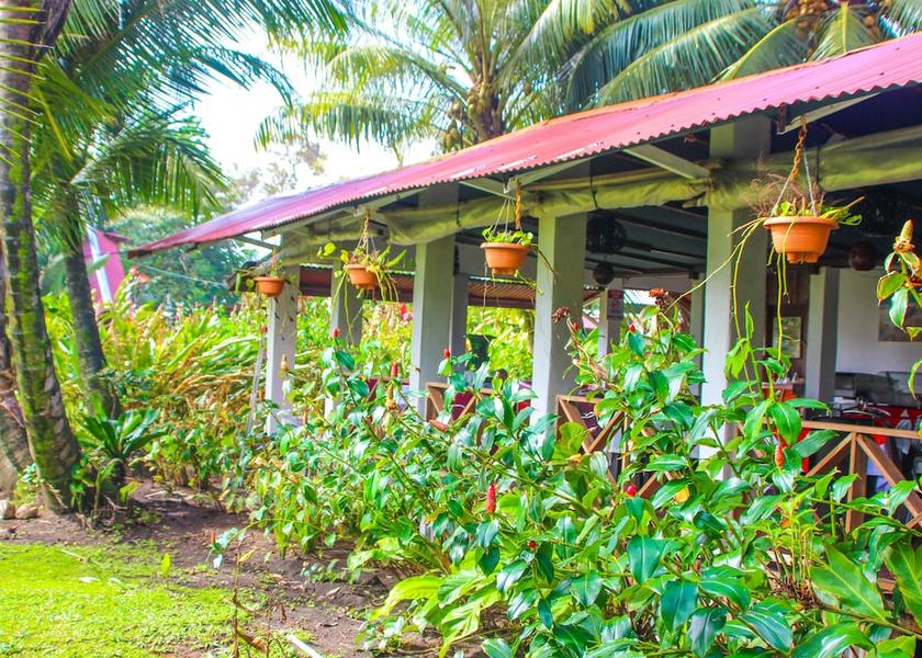 Limón Province Colorado Restaurant