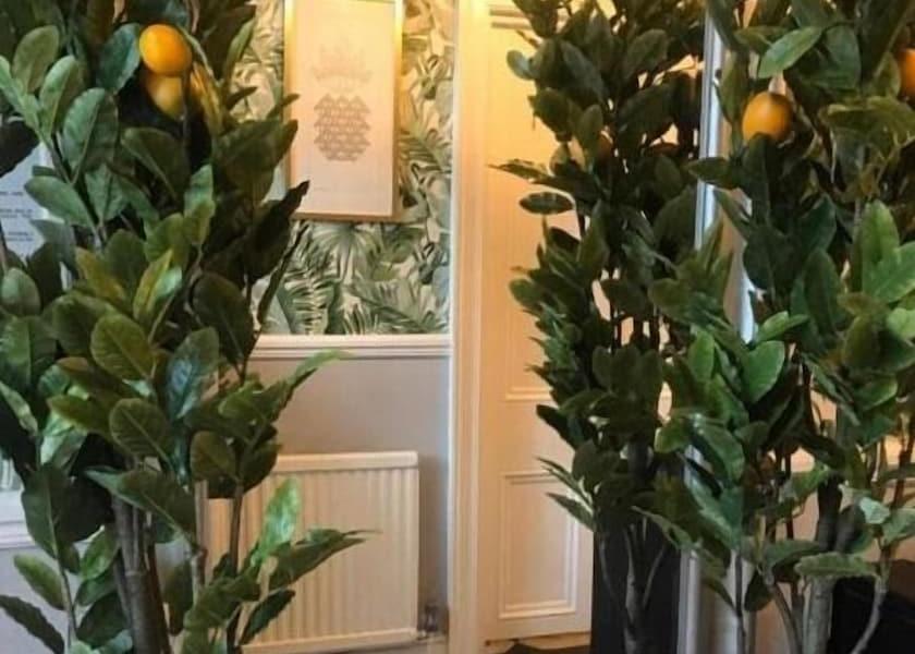 England Bromley Interior Entrance