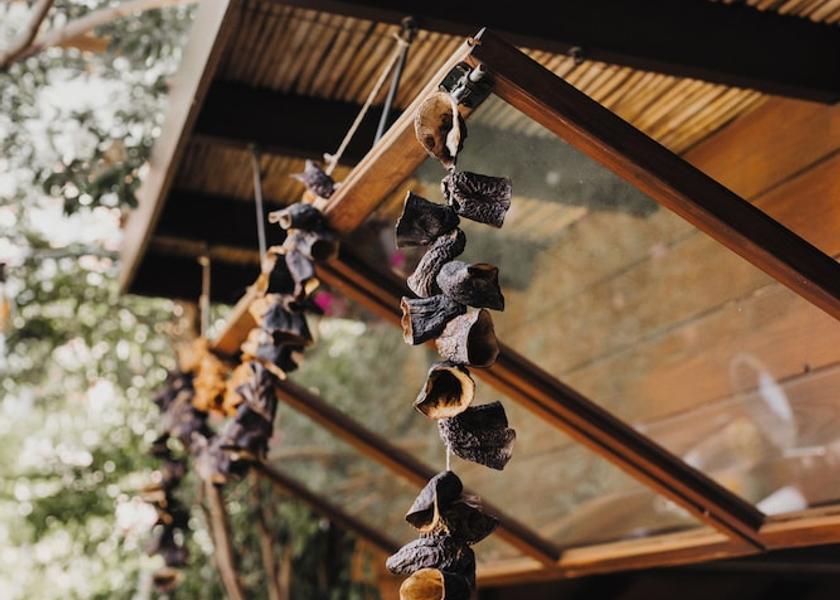 Izmir Çeşme Garden