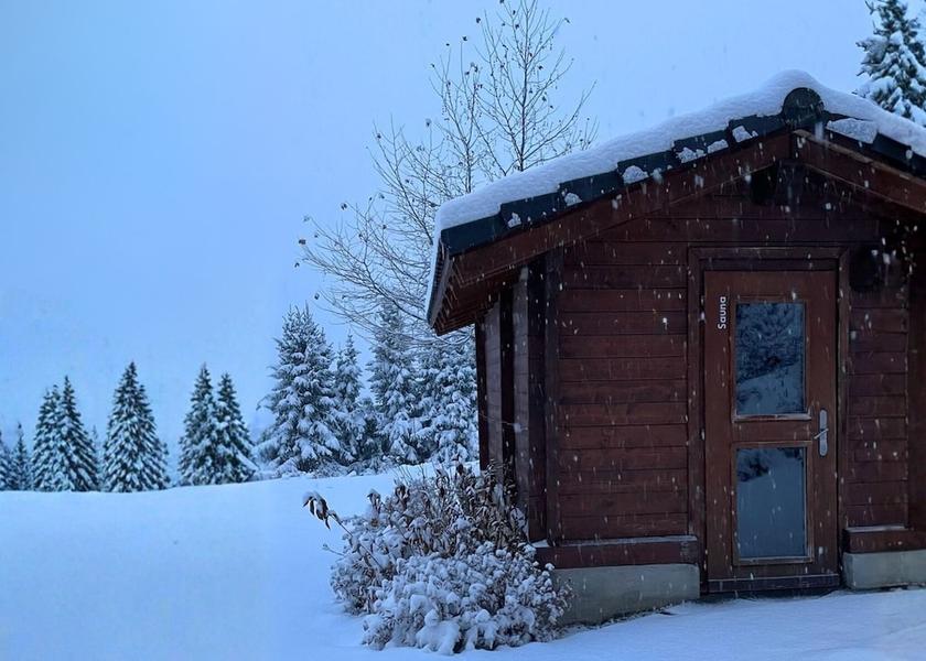 Valais Crans-Montana Sauna