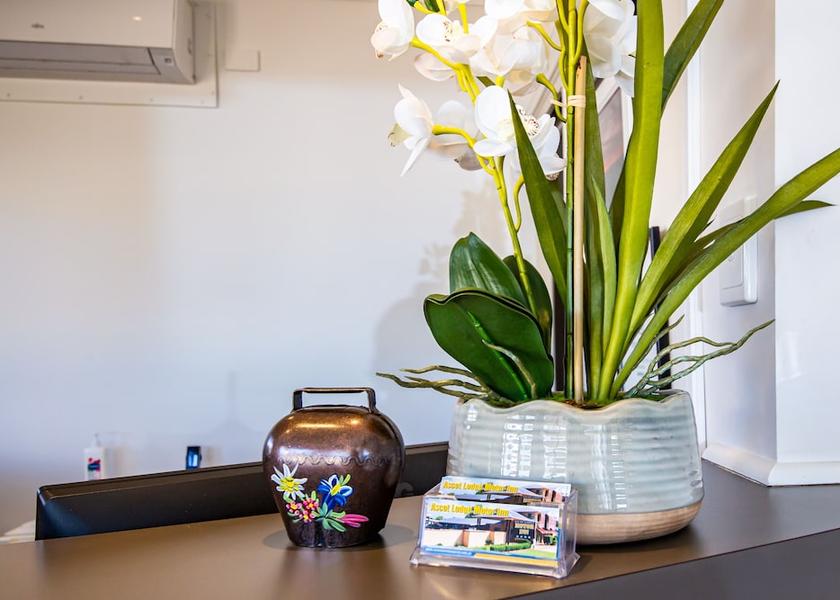 Queensland Kingaroy Reception