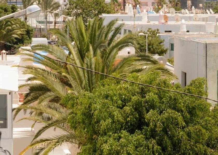 Canary Islands Tías Property grounds
