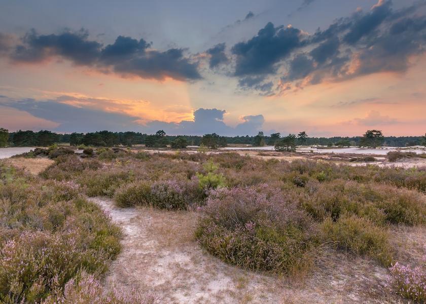 Utrecht Zeist Hiking
