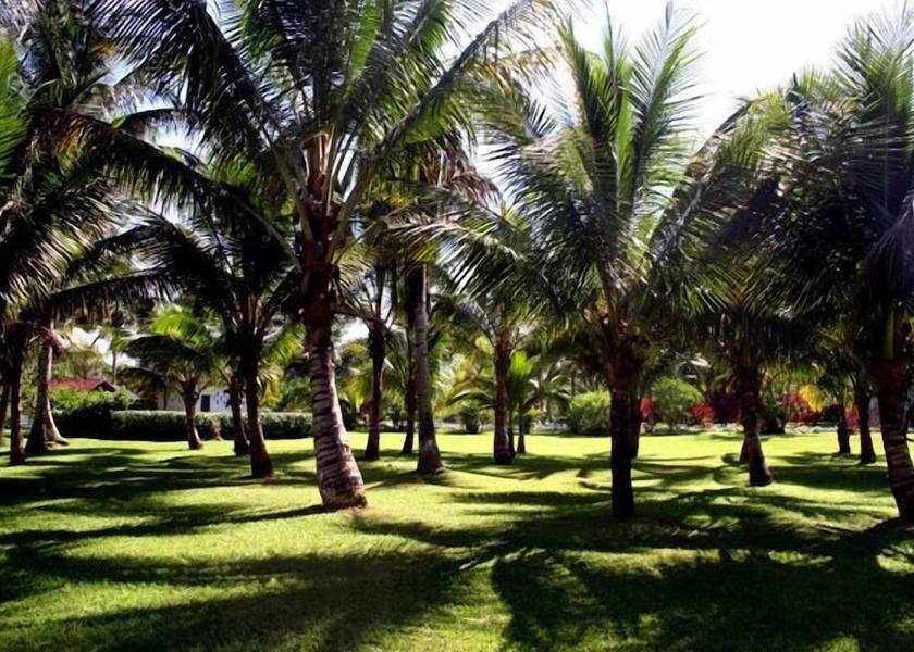 São Paulo State Caraguatatuba Property Grounds