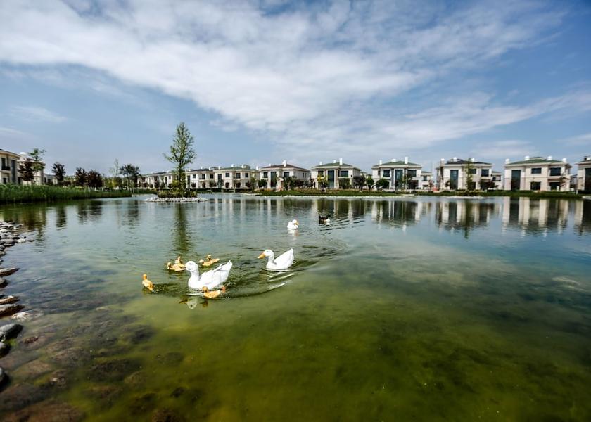  Baku Lake