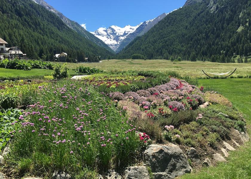 Valle d'Aosta Cogne Exterior Detail