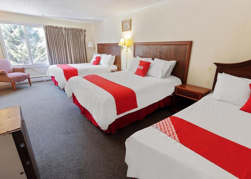 Delhi New Delhi Room