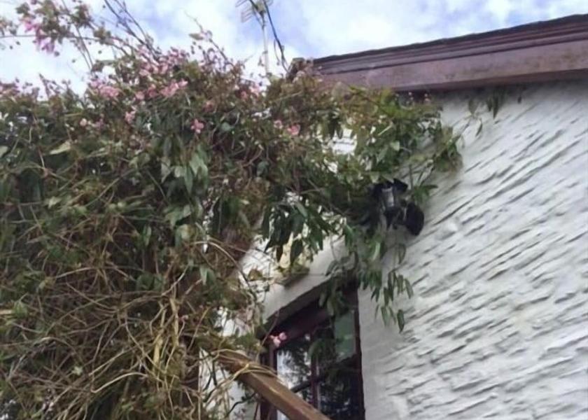 Wales Whitland Exterior Detail
