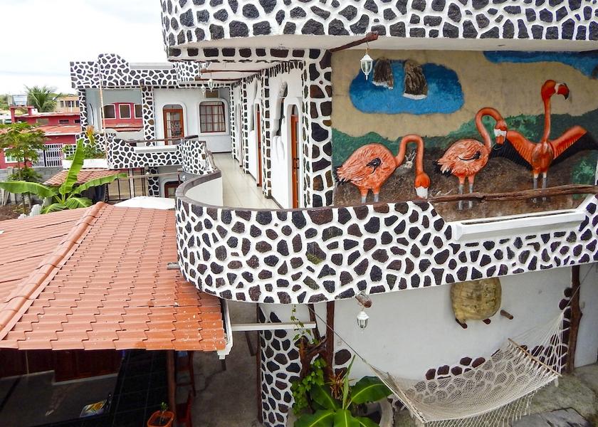 Galapagos Puerto Ayora View from Property