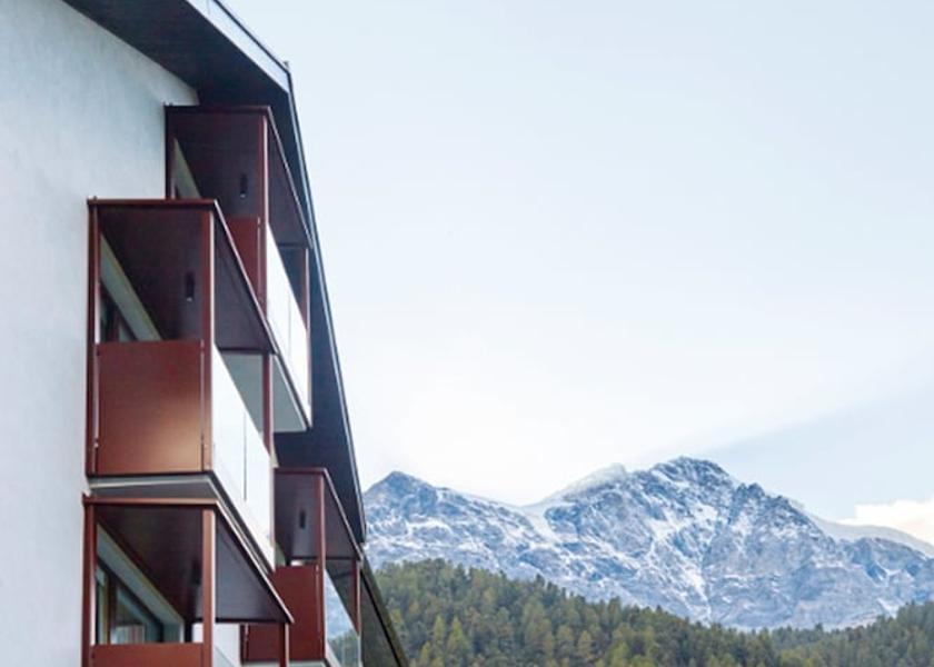 Trentino-Alto Adige Stelvio Exterior Detail