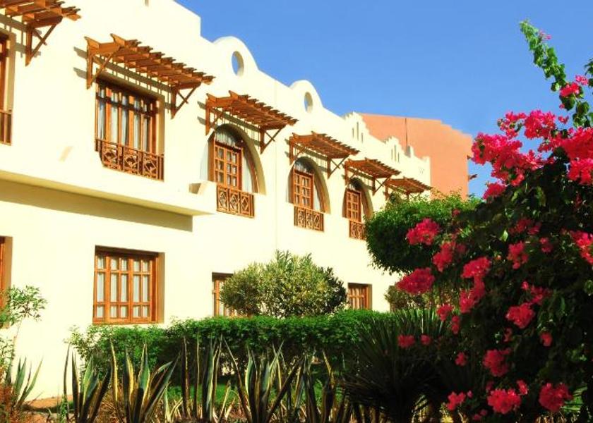 South Sinai Governorate Dahab 