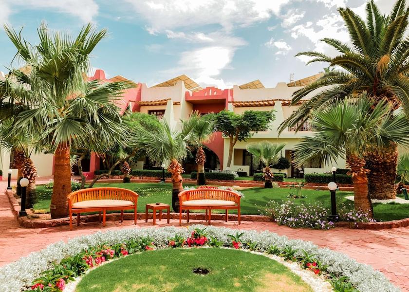 South Sinai Governorate Dahab Exterior