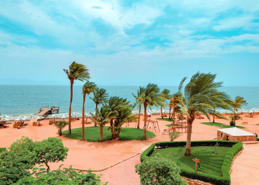 South Sinai Governorate Dahab Beach