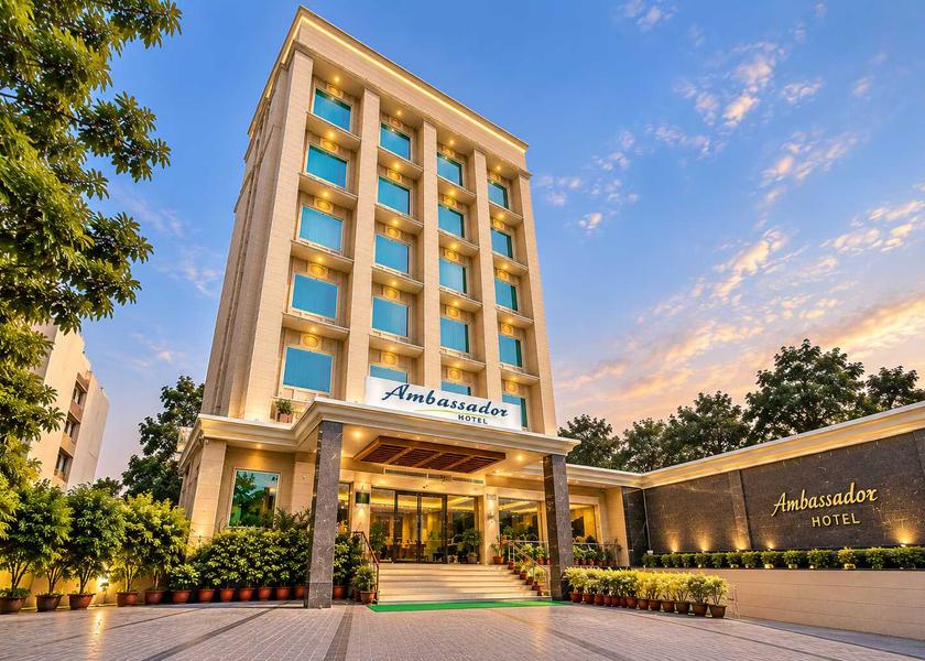 Punjab Jalandhar 