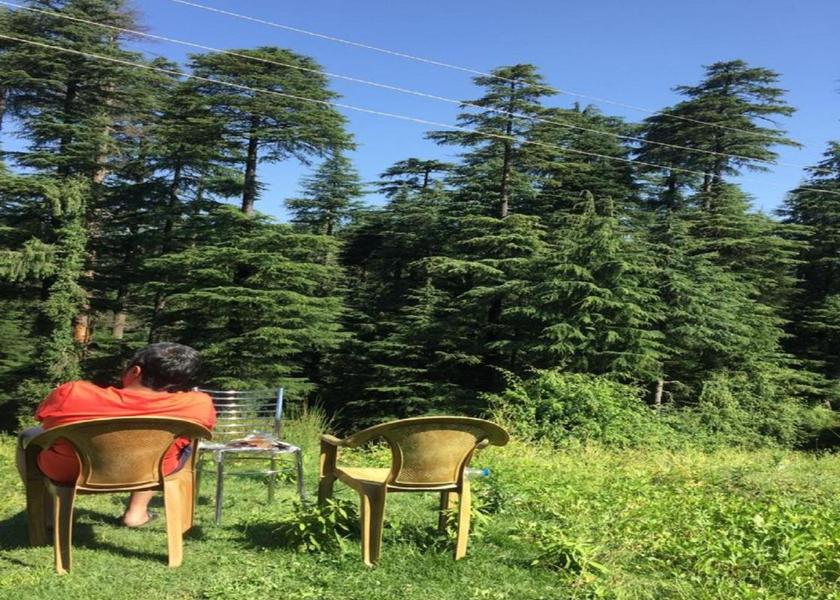 Himachal Pradesh Khajjiar Garden