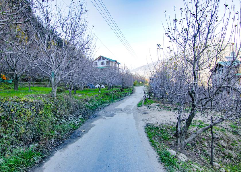 Himachal Pradesh Manali Hotel View