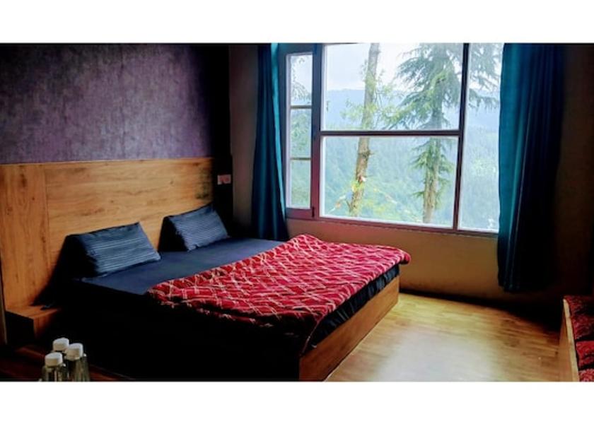 Himachal Pradesh Narkanda 1025