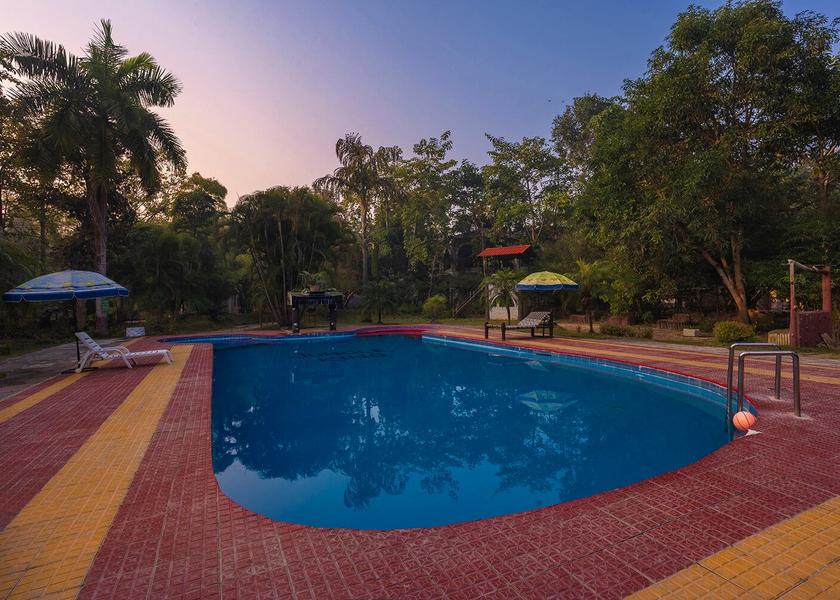 Madhya Pradesh Kanha Pool