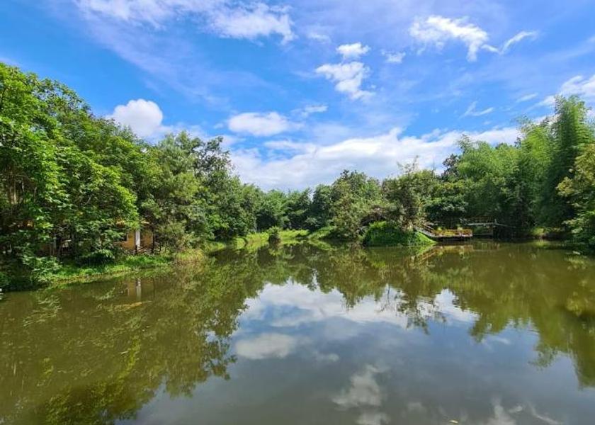 Madhya Pradesh Kanha Hotel View