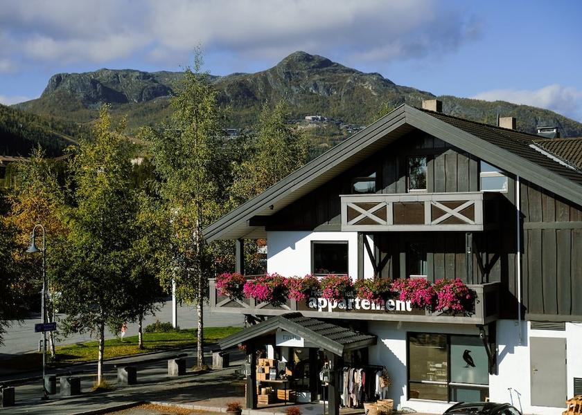 Buskerud Hemsedal Facade