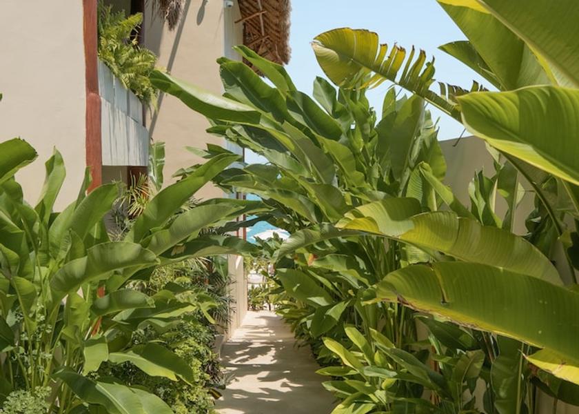 Quintana Roo Bacalar Property Grounds