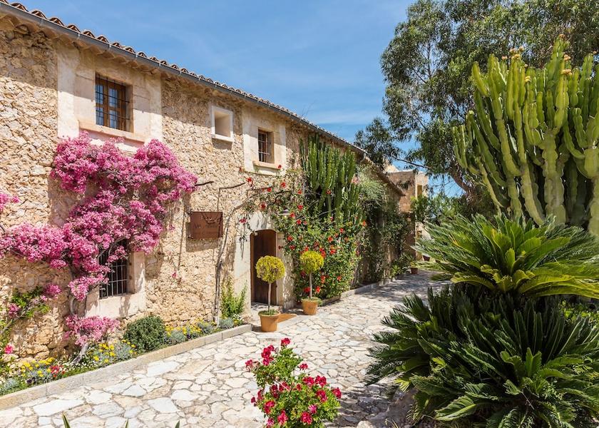 Balearic Islands Selva Primary image