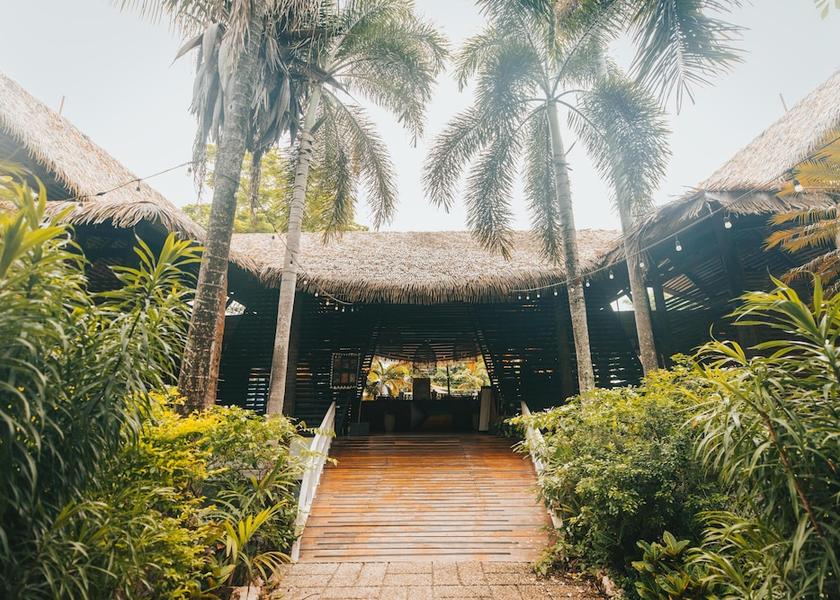 Guanacaste Nosara Reception