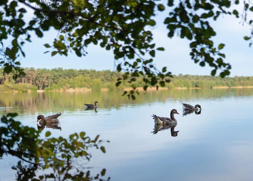 Flemish Region Mol Exterior Detail