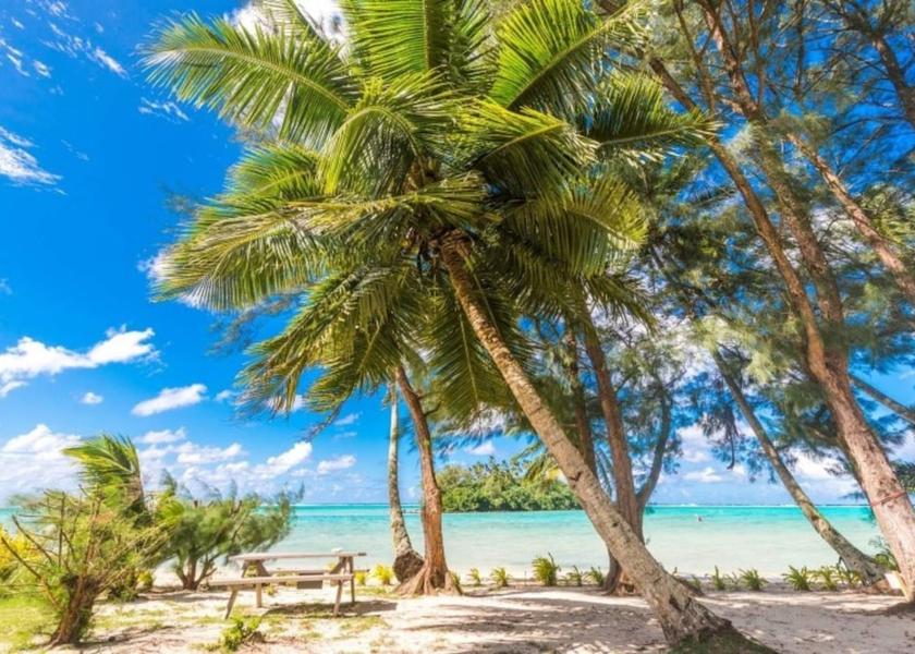  Rarotonga Beach