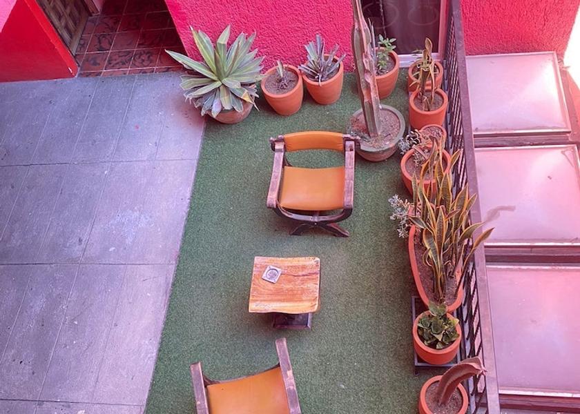 Jalisco Guadalajara Terrace