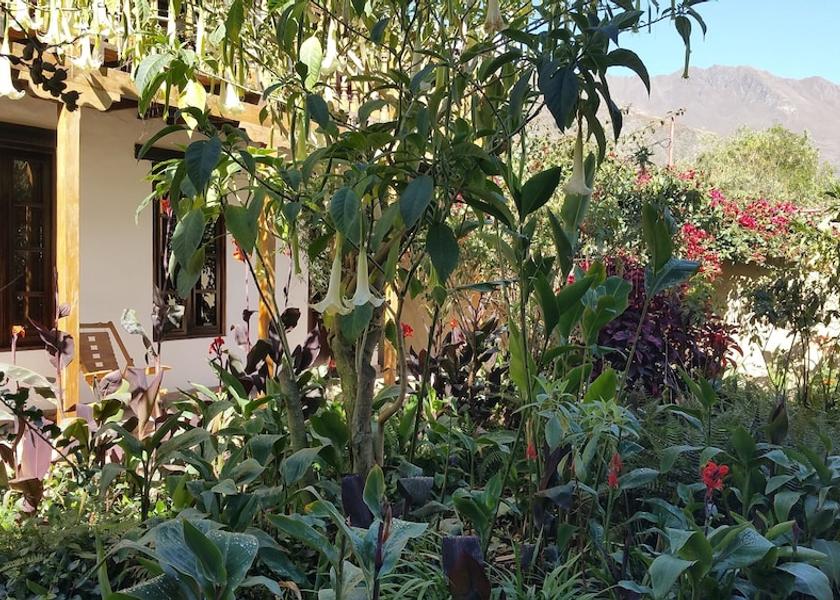 Cusco (region) Ollantaytambo View From Room