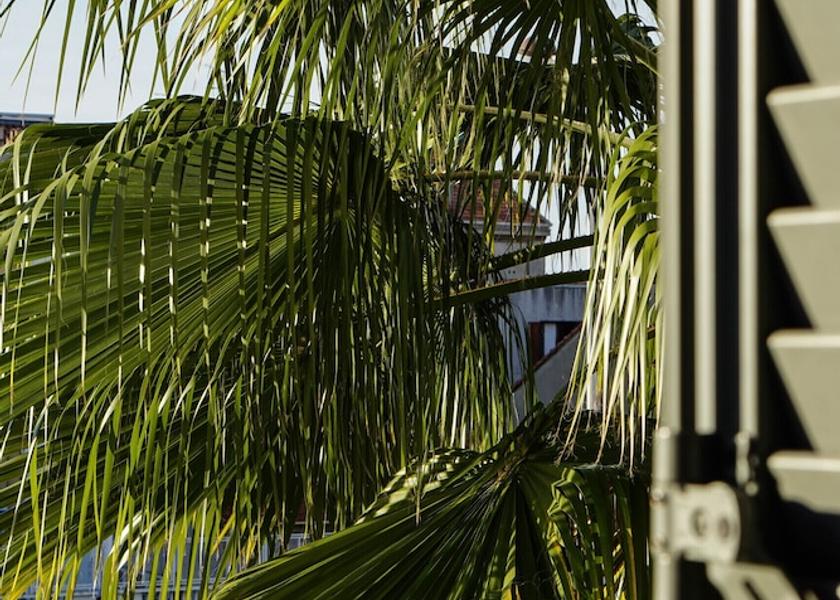 Provence - Alpes - Cote d'Azur Cannes Exterior Detail