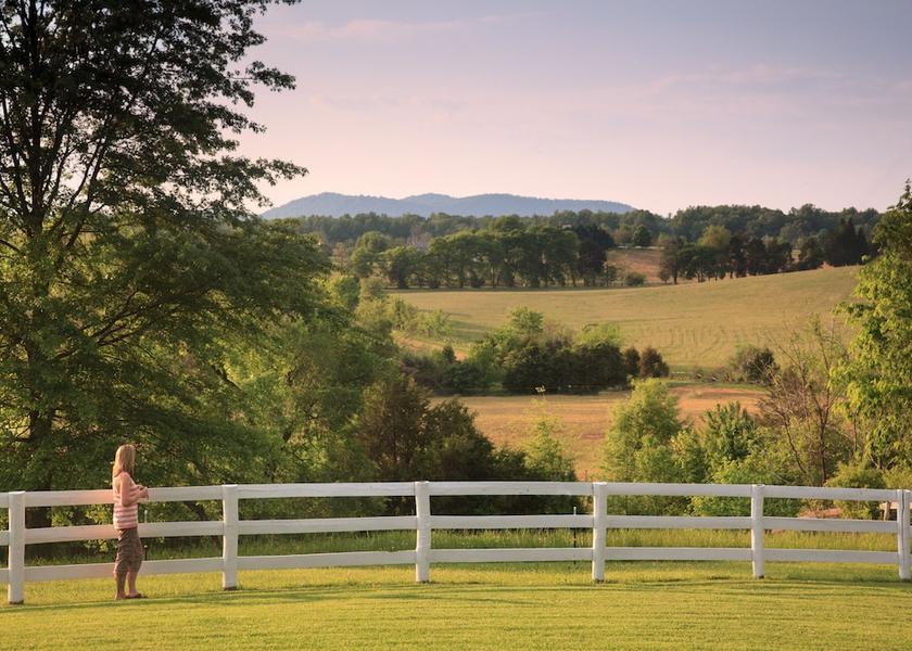Virginia locust dale Mountain View