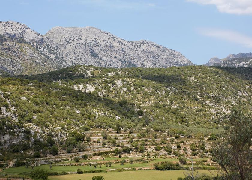 Balearic Islands Bunyola View from Property