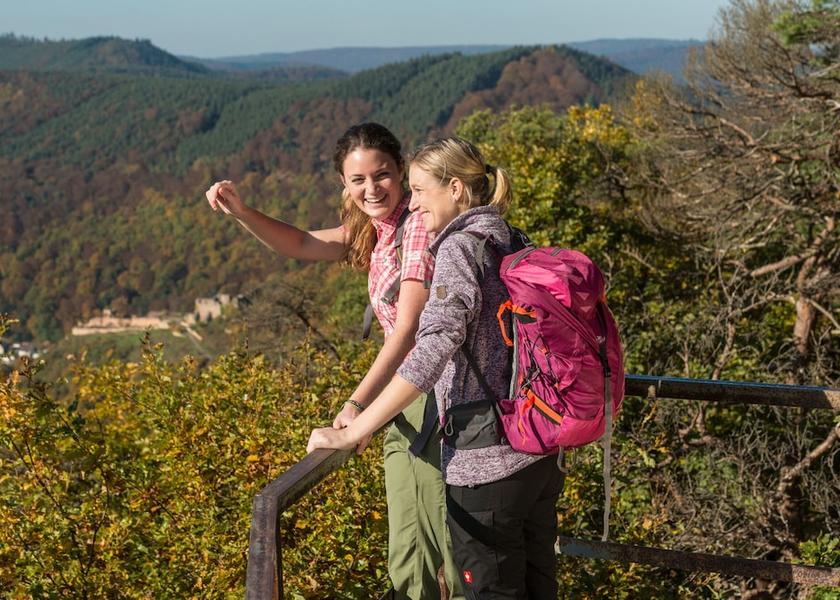 Rhineland-Palatinate Neustadt an der Weinstraße Hiking