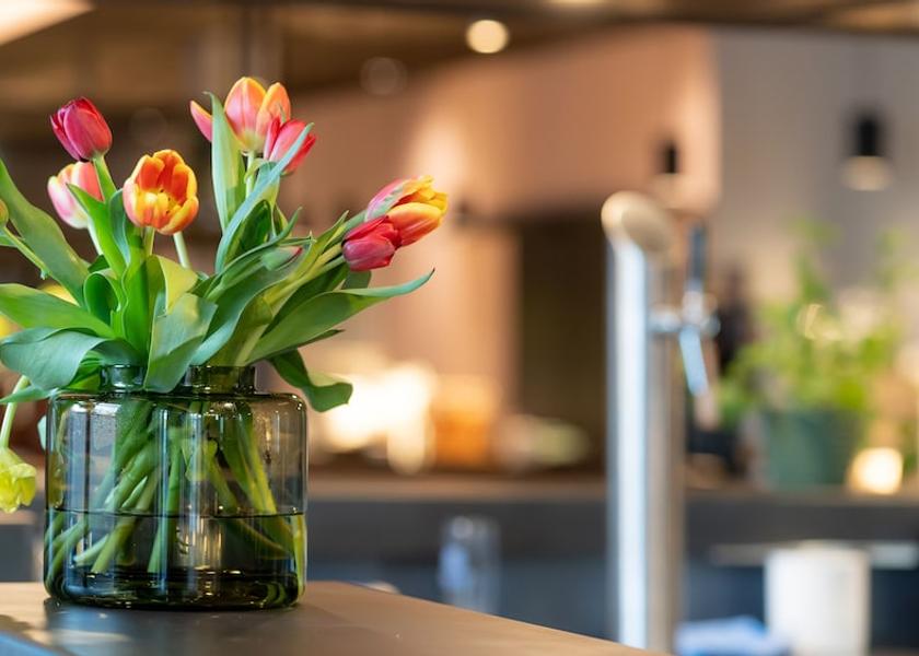 Bavaria Burgau Reception