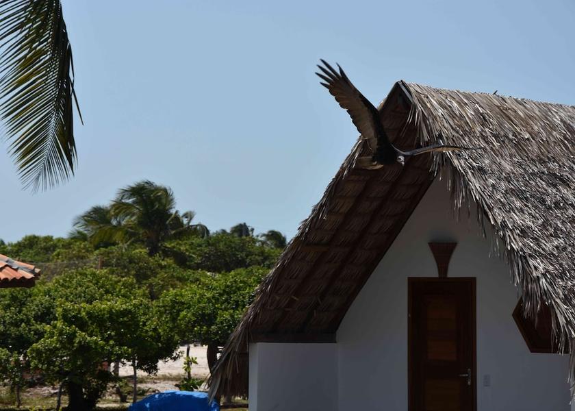 Maranhão Barreirinhas Exterior Detail