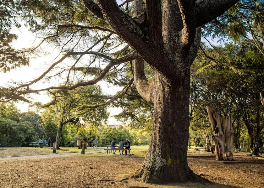 Auckland Region Albany Property Grounds