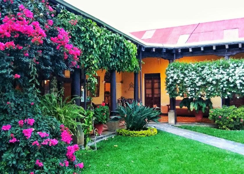 Sacatepéquez Antigua Guatemala Garden